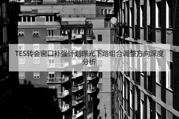 TES转会窗口补强计划曝光下路组合调整方向深度分析