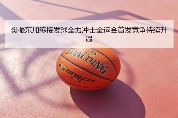 樊振东加练接发球全力冲击全运会首发竞争持续升温